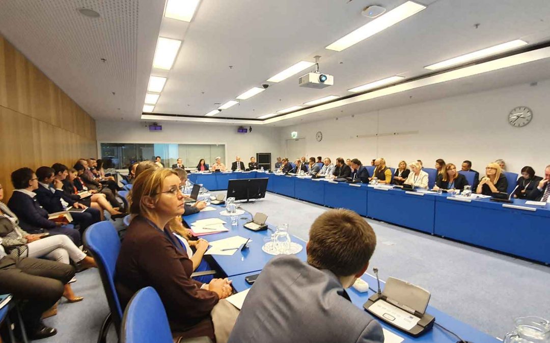 Representatives of Directorate at TCEU Liaison Officer Meeting at 63rd General Conference